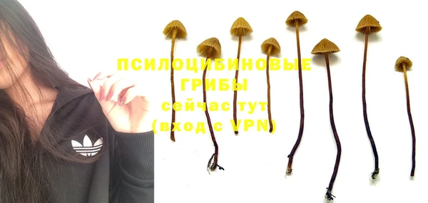 гашик Верхний Тагил