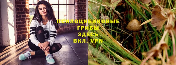 СК Верея