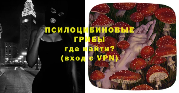 гашик Верхний Тагил
