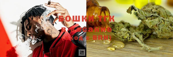 гашик Верхний Тагил